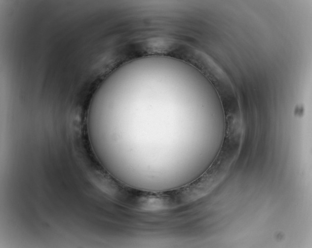 X0000103940655200809191418