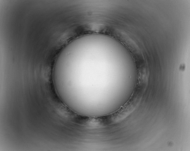 X0000103940656200809191418