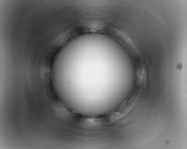 X0000103940657200809191418