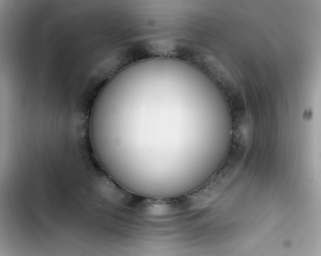 X0000103940658200809191418