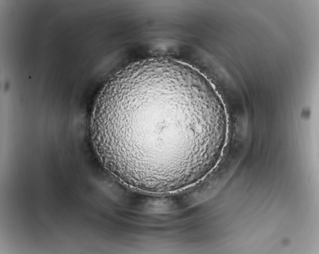 X0000103940659200809191418