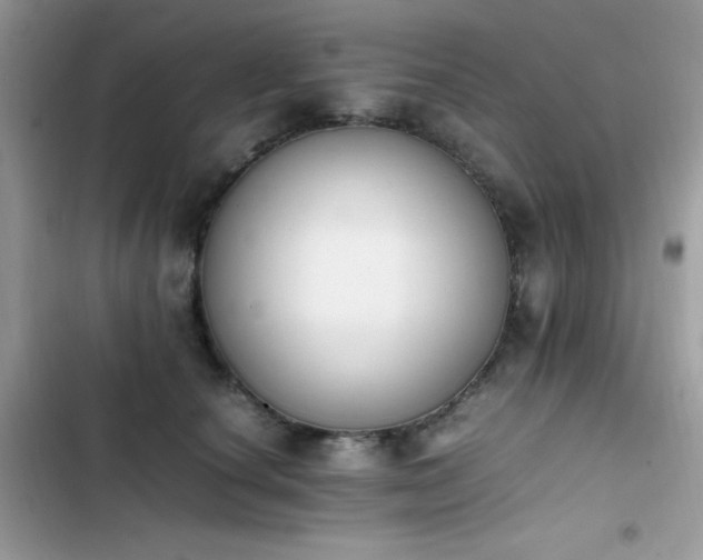 X0000103940660200809191418