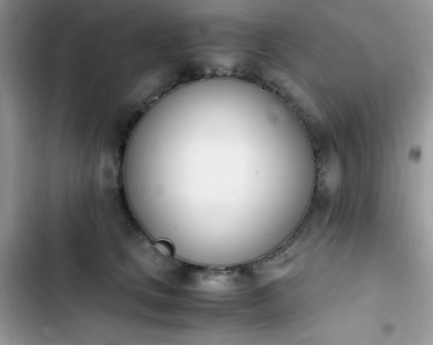 X0000103940661200809191418