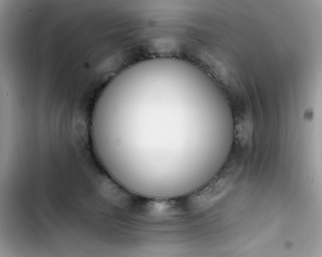 X0000103940662200809191418