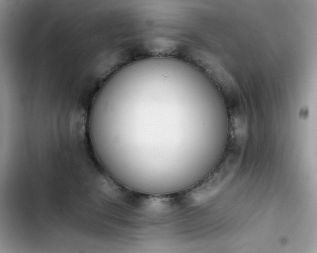 X0000103940664200809191418