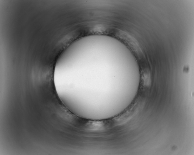 X0000103940665200809191418