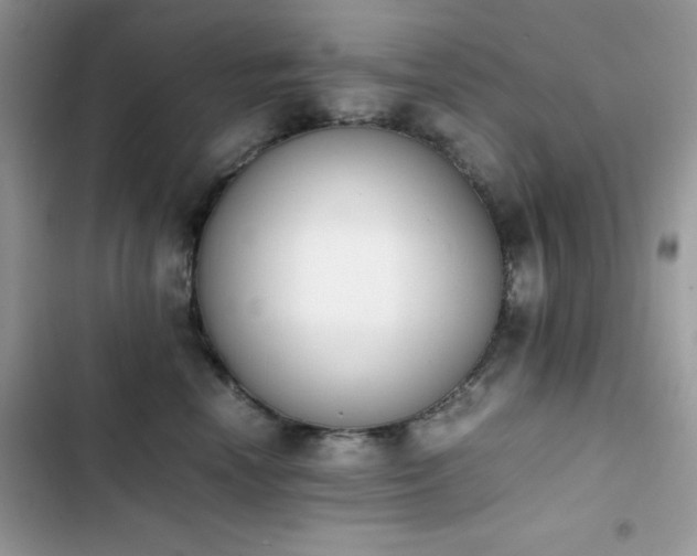 X0000103940666200809191418