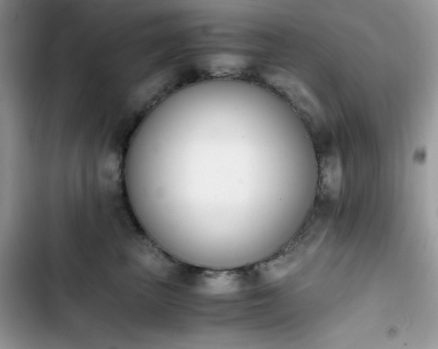 X0000103940667200809191418
