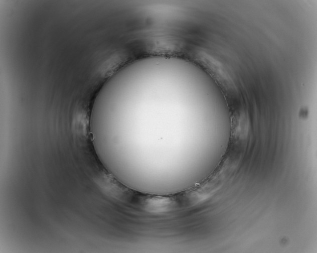 X0000103940669200809191418
