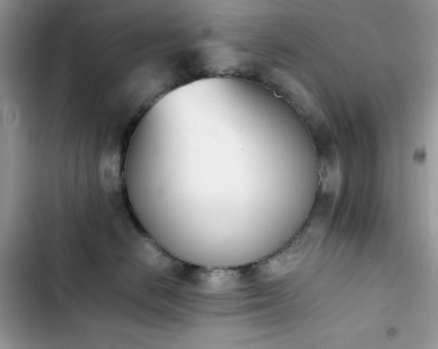 X0000103940670200809191418
