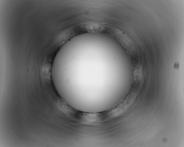 X0000103940671200809191418