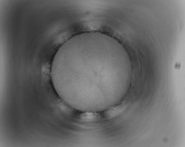 X0000103940672200809191418
