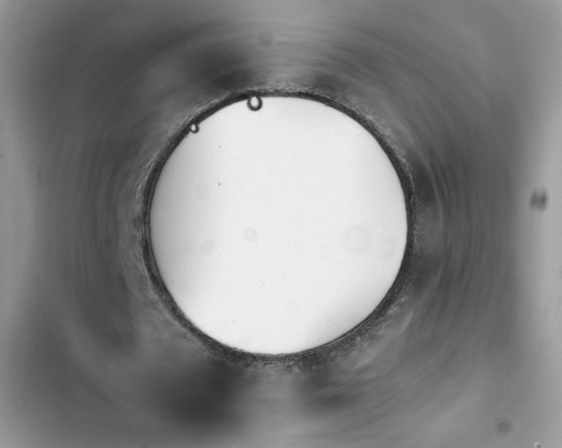 X0000103940673200809191417