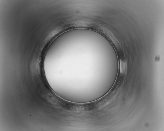 X0000103940675200809191417
