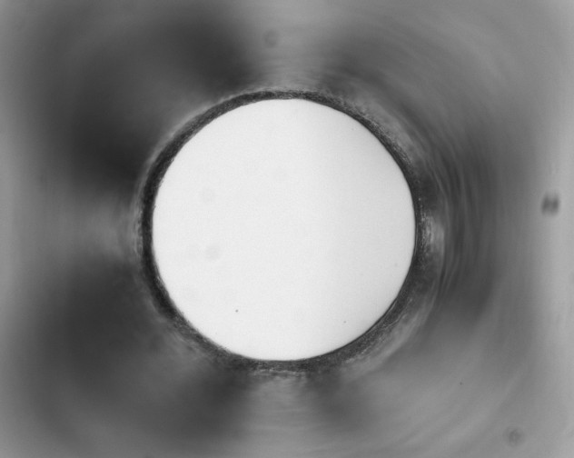 X0000103940676200809191417