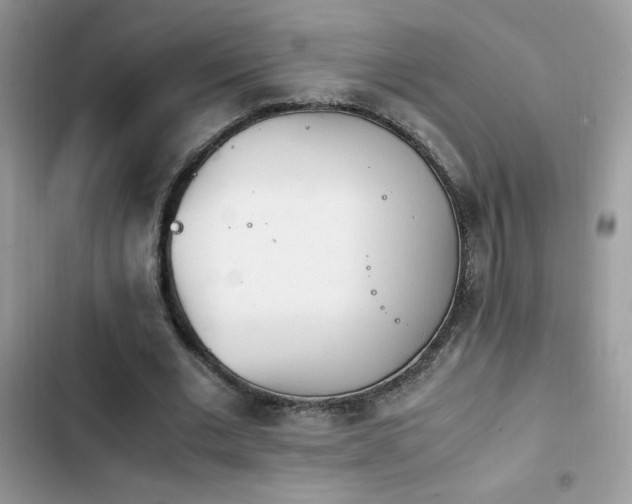 X0000103940677200809191417