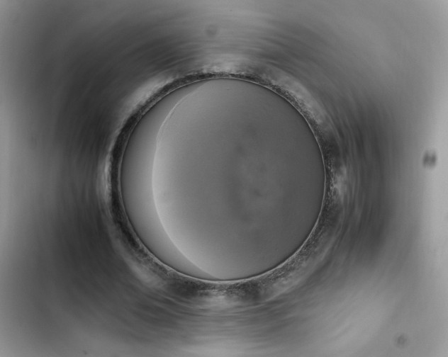 X0000103940678200809191417