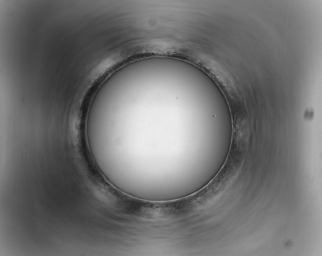 X0000103940679200809191417