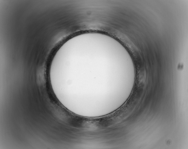 X0000103940680200809191417