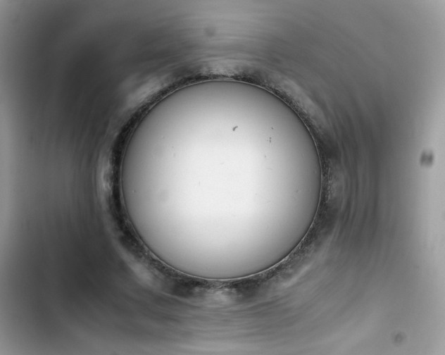 X0000103940683200809191417