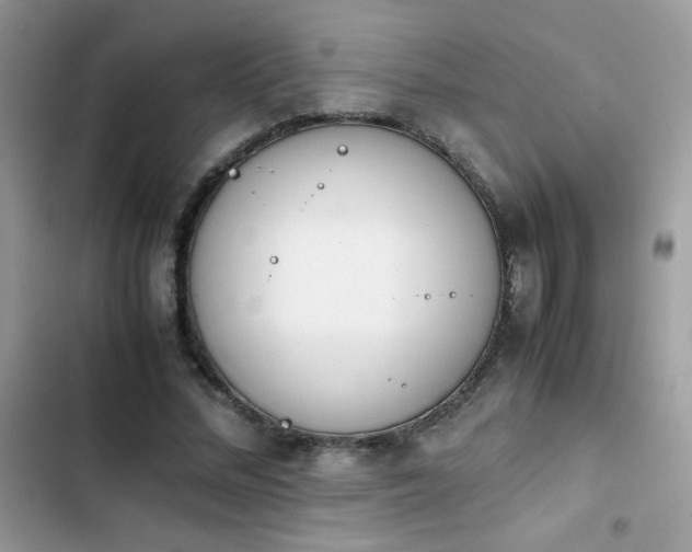 X0000103940684200809191417