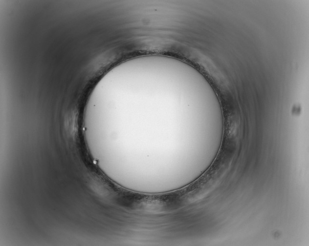 X0000103940685200809191417
