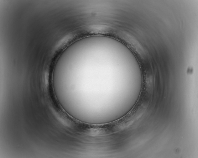X0000103940686200809191417
