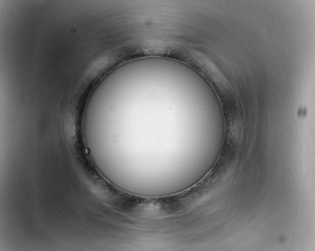 X0000103940687200809191417