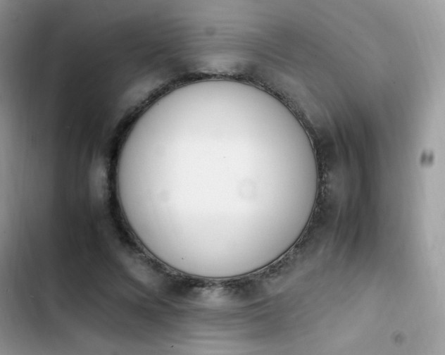 X0000103940688200809191417