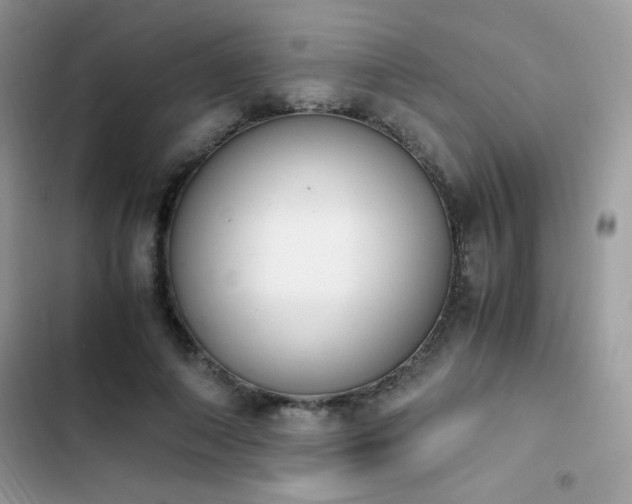 X0000103940690200809191417