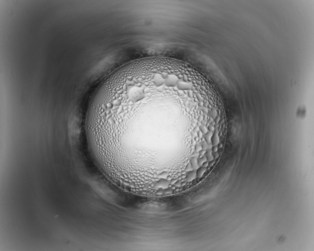 X0000103940691200809191417