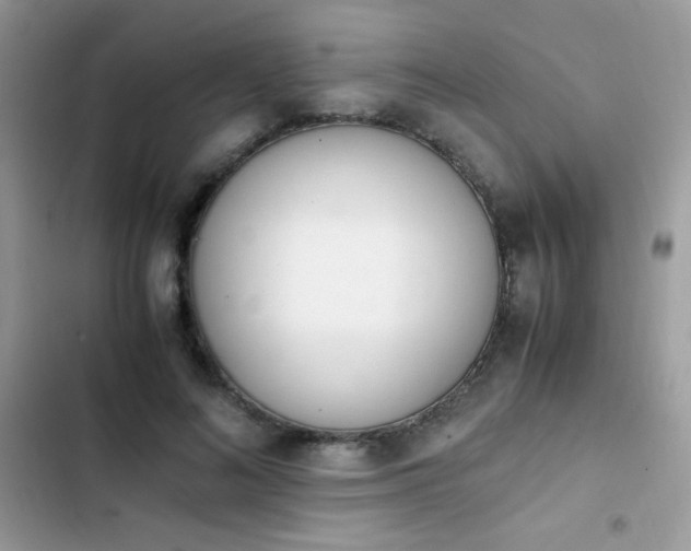 X0000103940692200809191417