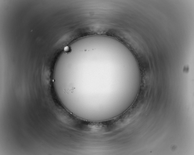 X0000103940693200809191417
