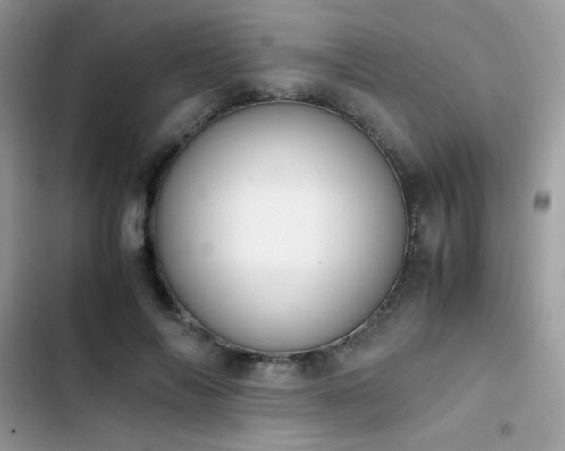 X0000103940694200809191417