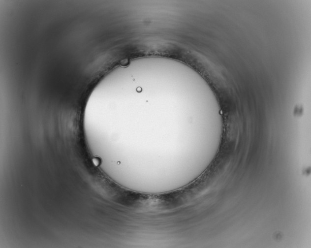 X0000103940695200809191417