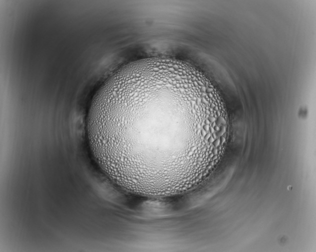X0000103940699200809191417