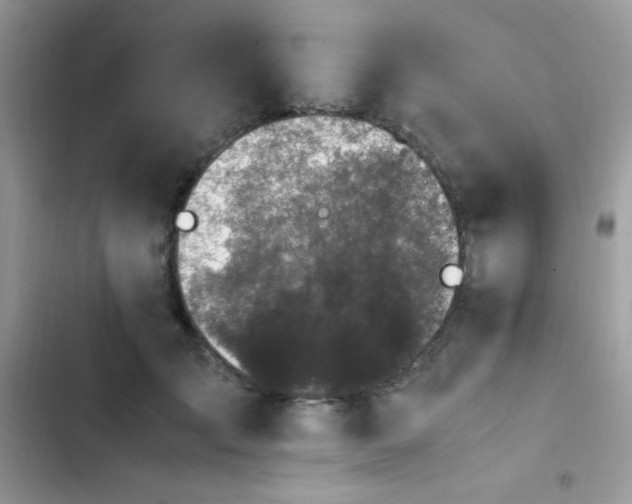 X0000103940701200809191417
