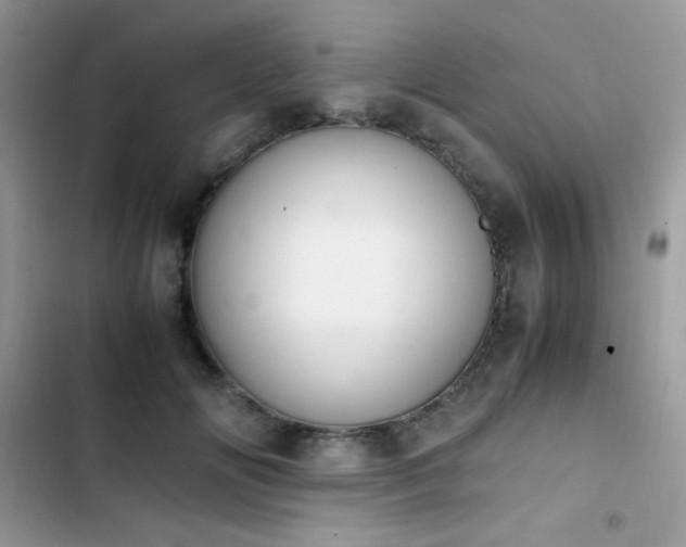 X0000103940702200809191417