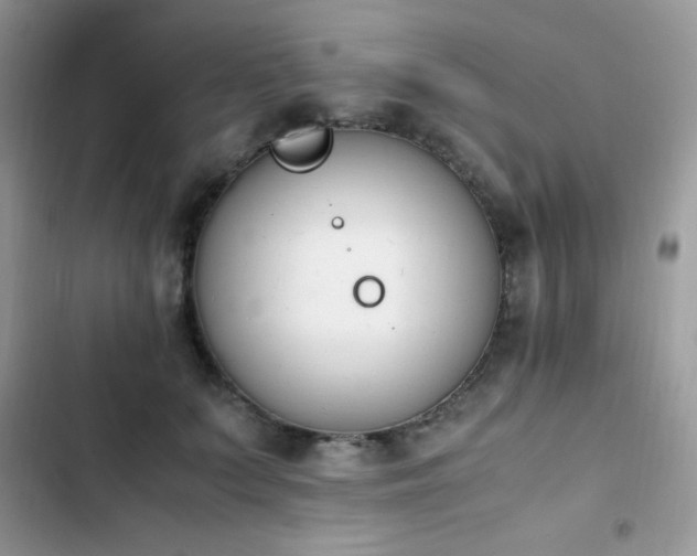 X0000103940703200809191417