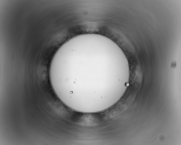 X0000103940704200809191417