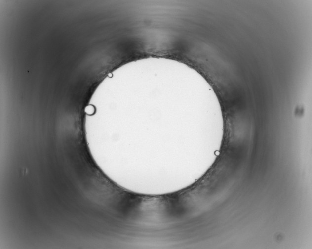 X0000103940705200809191417