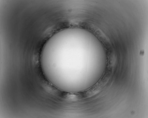 X0000103940706200809191417