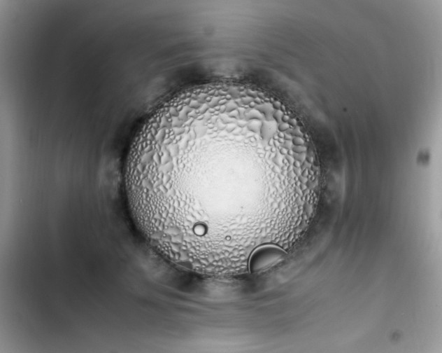 X0000103940707200809191417