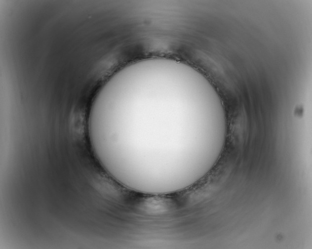 X0000103940708200809191417