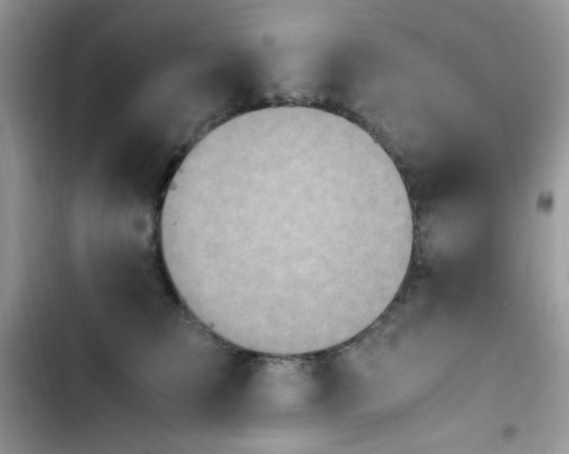 X0000103940709200809191417