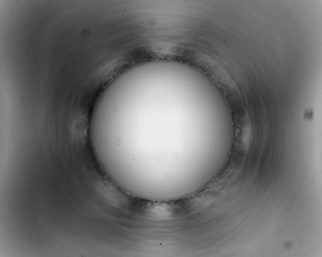 X0000103940710200809191417