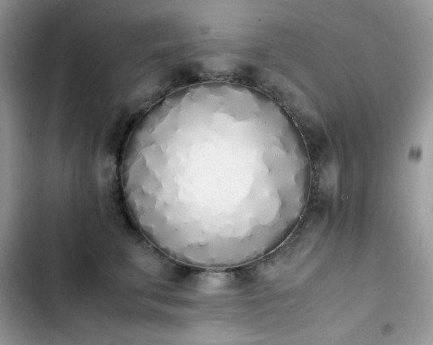 X0000103940711200809191417
