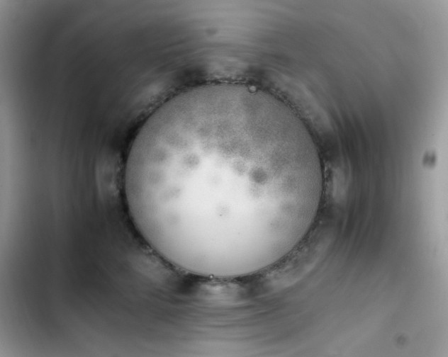 X0000103940712200809191417