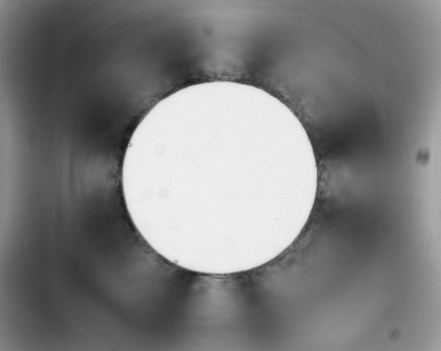 X0000103940713200809191417