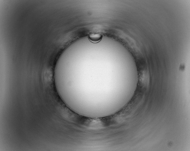 X0000103940715200809191417
